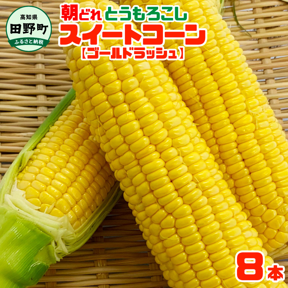 【ふるさと納税】～四国一小さなまちのとうもろこし～★2025年6月上旬頃発送開始予定★ とうもろこし スイートコーン ゴールドラッシュ 8本 数量限定 朝どれ 新鮮 甘い 野菜 産地直送 国産 冷蔵 配送 高知県 ふるさとのうぜい 故郷納税 返礼品 田野町 8000円