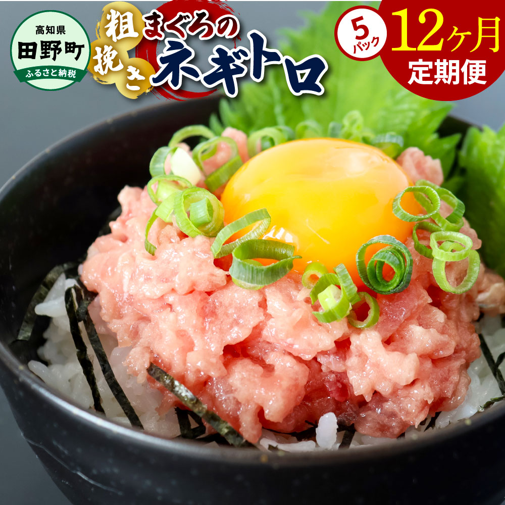 【ふるさと納税】～四国一小さなまち～ ≪カネアリ水産≫ まぐろのネギトロ 400g（80g×5パック）×12ヶ月定期便 ねぎとろ 鮪 マグロ キハダマグロ まぐろたたき 粗挽き 小分け パック 海鮮 魚介 便利 簡単 冷凍 配送 高知県 田野町 ふるさとのうぜい 故郷納税 返礼品