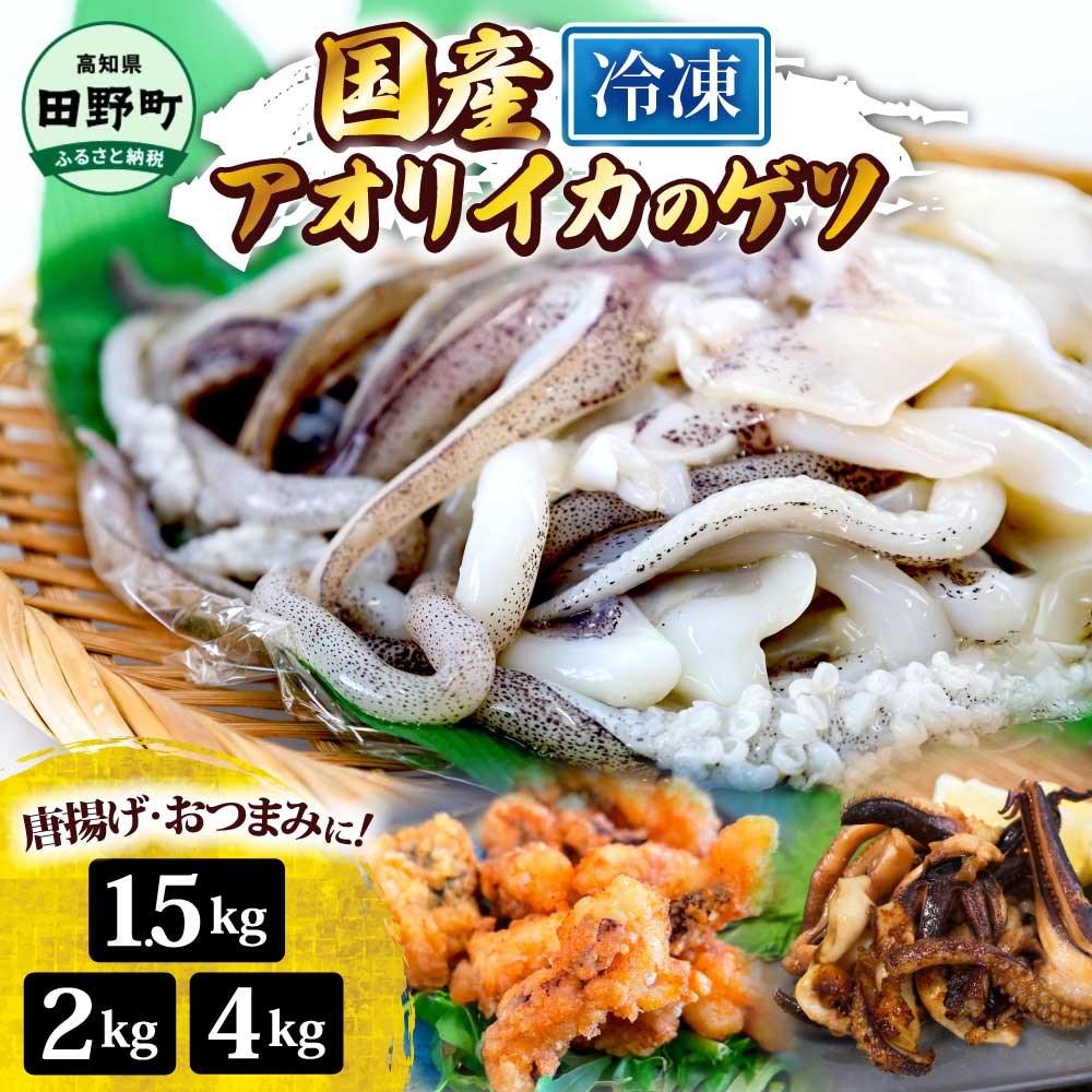 【ふるさと納税】イカ イカゲソ 10000円台 選べる内容量 1.5~4kg 1パック500g アオリイカ ゲソ いか 烏賊 魚介類 げそ いかげそ 唐揚げ げそ天ぷら おつまみ 美味しい 柔らかい 冷凍 配送 国産 高知県 田野町 イカの足 アオリイカのゲソ 業務用 BBQ 海鮮 下足 イカゲソ焼き