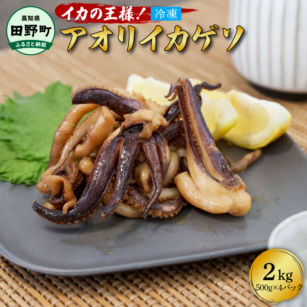 【ふるさと納税】 イカ イカゲソ 2kg (500g×4パック) アオリイカ ゲソ 2000g 2キロ イカ いか 烏賊 魚介類 げそ いかげそ 焼き 唐揚げ おつまみ 美味しい 柔らかい 冷凍 配送 国産 高知県 田野町 ふるさとのうぜい 故郷納税 返礼品 イカの王様★アオリイカのゲソ 12000円
