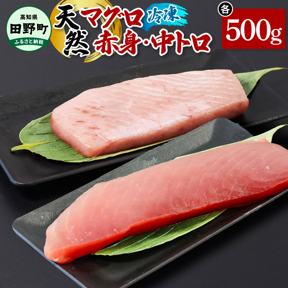 【ふるさと納税】～四国一小さなまち～ 天然マグロ（赤身・中トロ 各500g）まぐろ 鮪 中とろ 刺身 刺し身 さしみ 魚 魚介 海鮮 海鮮丼 寿司 海の幸 おかず お取り寄せ 冷凍 配送 高知県 田野町 ふるさとのうぜい 故郷納税 返礼品