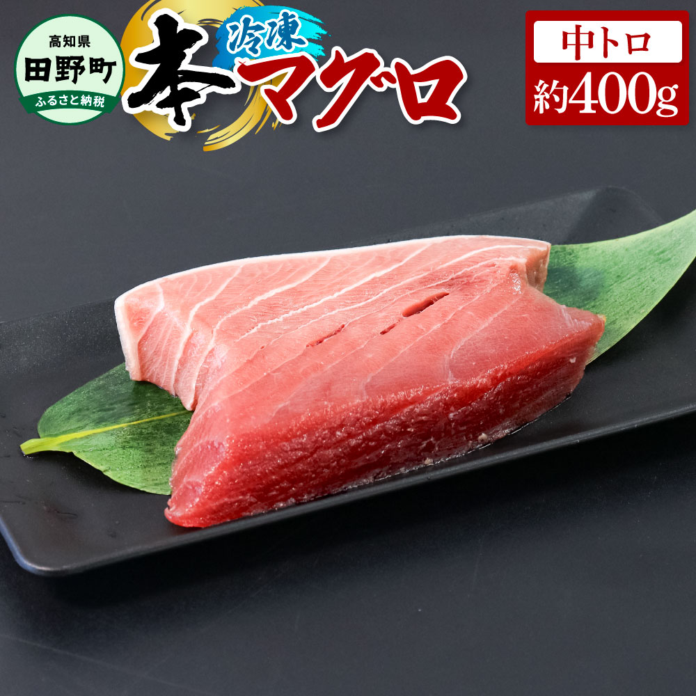 【ふるさと納税】～四国一小さなまち～ 本まぐろ 中トロ 約400g 本マグロ 本鮪 中とろ 刺身 刺し身 さしみ 魚介 海鮮丼 寿司 海の幸 生鮮 おかず おつまみ 惣菜 お取り寄せ 冷凍配送 高知県 田野町 ふるさとのうぜい 故郷納税 返礼品