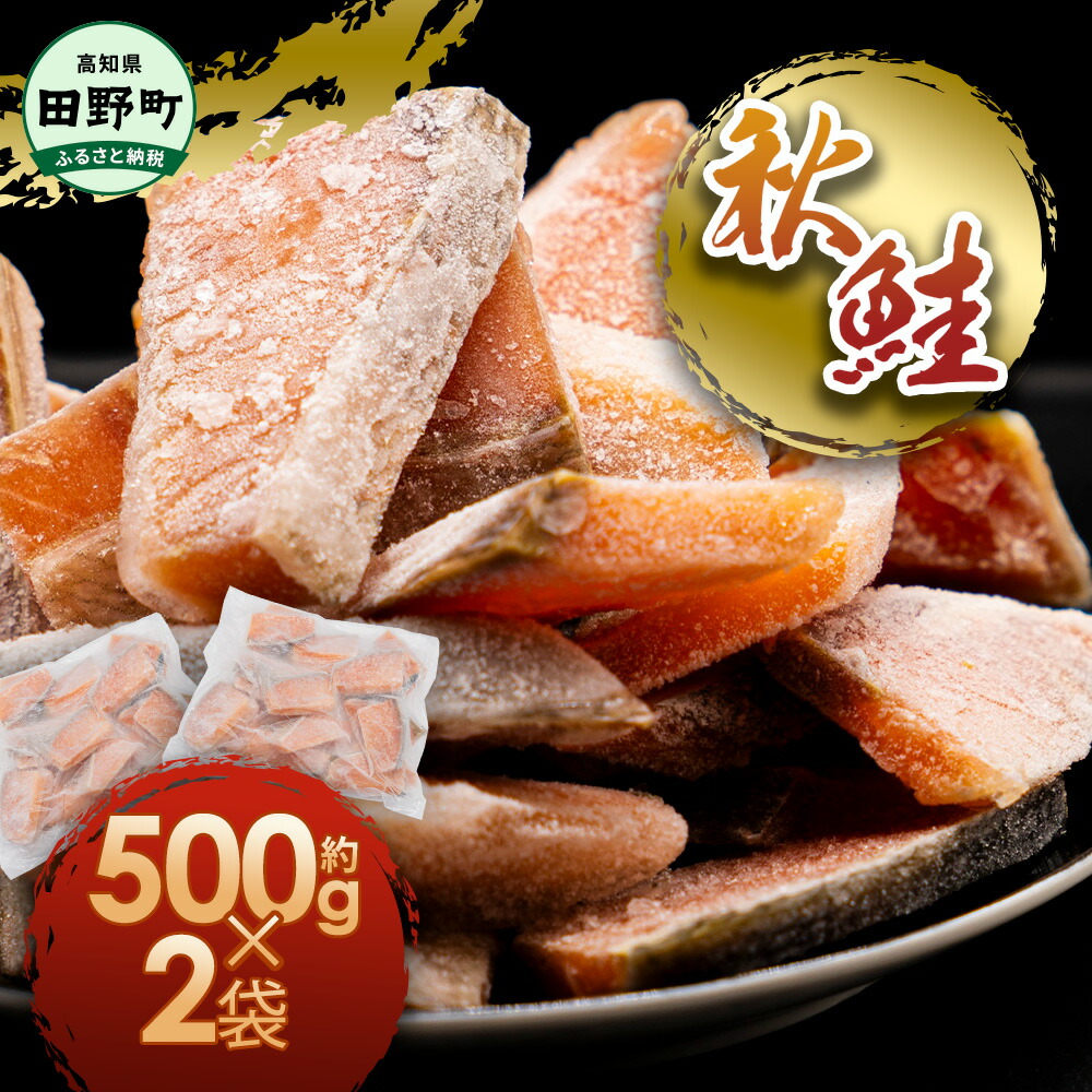 【ふるさと納税】秋鮭ぶつ切り 10000円 約1kg 500g×2袋 冷凍 小分け 切り身 切り落とし 秋鮭切り身 ふるさと さけ サケ 国産 国内産 天然 鮭茶漬け お弁当 おかず 便利 和食 家族 おいしい 惣菜 故郷納税 高知県 使いやすい 返礼品 シャケ 子供 真空パック