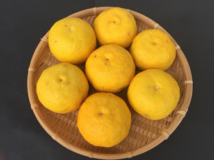 【ふるさと納税】安田町産ゆず玉12～15玉