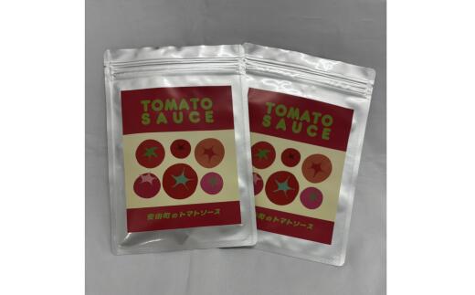 【ふるさと納税】 安田町 トマトソース 2袋 詰め合わせ トマトソース トマト ソース 2袋 詰合せ セット 詰め合わせ 野菜 冷凍 スープ パスタ ミートソース スパゲティ ハンバーグ 簡単 便利 時短 お手軽 濃厚 新鮮 高知県 安田町 TR-24