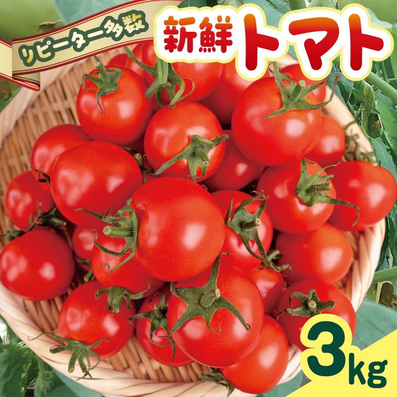 楽天市場】【ふるさと納税】【選べる内容量】ドトマト1号 1kg-2kg