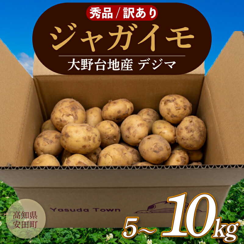 【ふるさと納税】 選べる 秀品 訳あり じゃが芋 春デジマ じゃがいも 馬鈴薯 5kg ～ 10kg 新鮮 掘りたて 掘り立て ほりたて 産地直送 農家直送 野菜 やさい カレー ポテト サラダ じゃがバター 新じゃが 訳あり 不揃い 高知県 安田町 ykｰ0010all