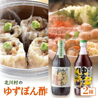 【ふるさと納税】北川村のゆずぽん酢 2種(500ml×各1本) 計2本セット【1512101】