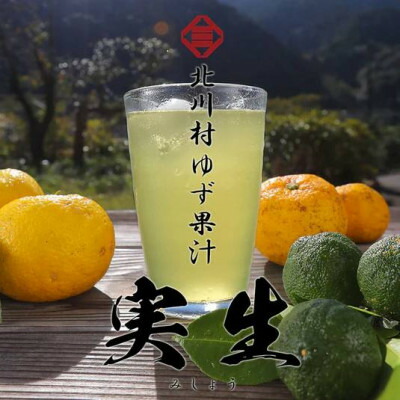 【ふるさと納税】北川村ゆず果汁「実生」300ml×3本【配送不可地域:離島】【1704222】