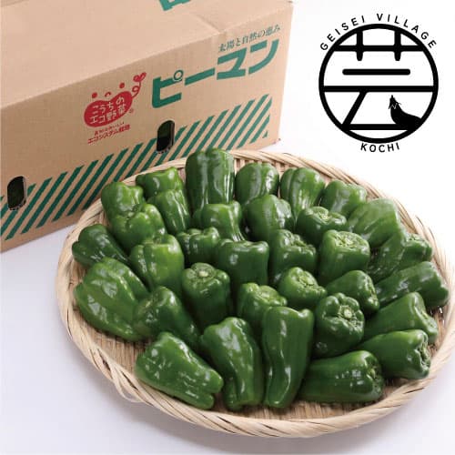 ふるさと納税 かっぱ市 エコシステム栽培 高知 芸西ピーマン ピーマン 食品 ピーマン 約4 5kg バラ詰 かっぱ市 芸西村 ふるさと納税 かっぱ市 エコシステム栽培 高知 芸西ピーマン ピーマン 食品 ピーマン 約4 5kg バラ詰 かっぱ市 芸西村