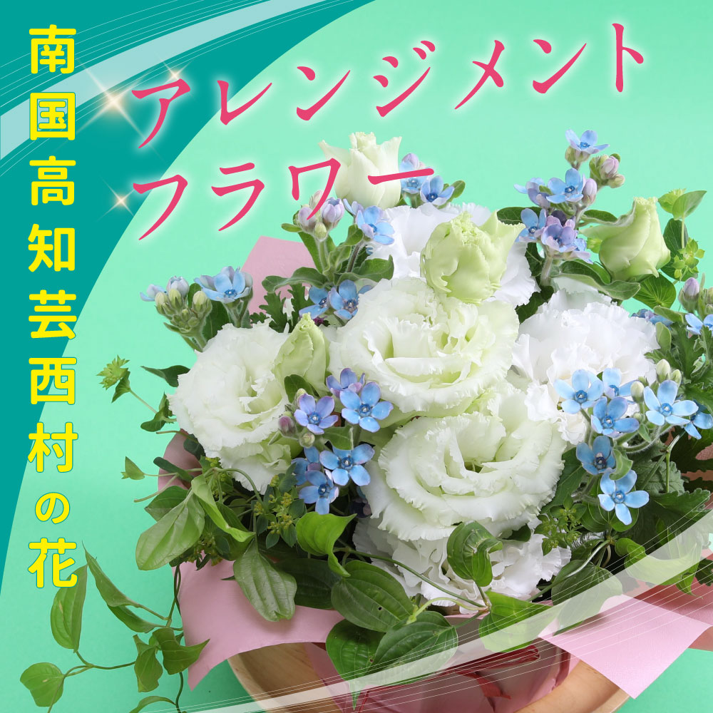 売れ筋 MWKAB8AMKTL 型番:MWKAB8AMKTL