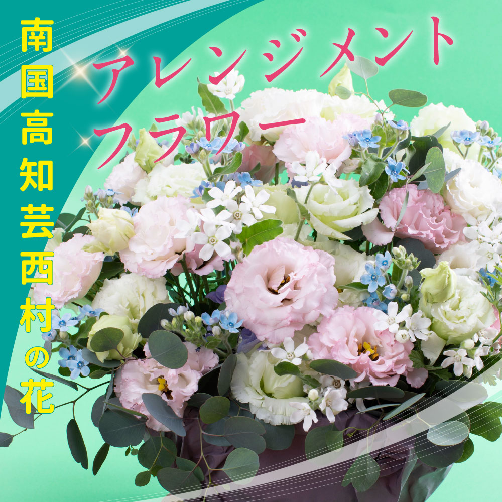 【ふるさと納税】 此れから取っておく 芸西村のお花を使った申し合わせ（大） 出どころ納税／ＦＲＧIPM ESSEN 2011インターナショナル園芸博覧会の価値づける会切り花分け取り最優秀賞を勝ちえるした“青碧はやりっ子”などの芸西村特産の花々を使ったカゴ入れお花申し合わせ
