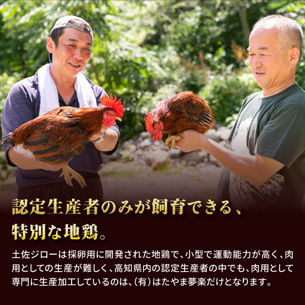 【ふるさと納税】高知県の地鶏「土佐ジロー」カット肉1kg