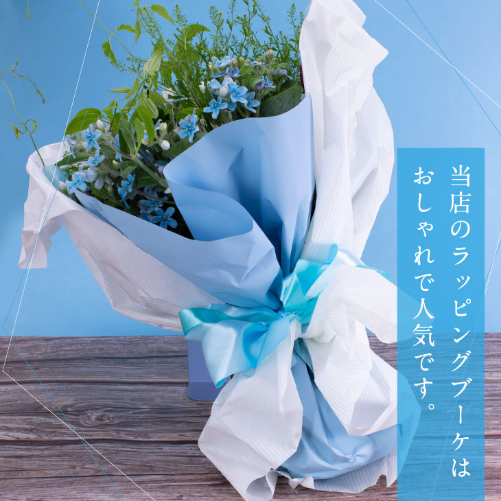 人気の春夏 芸西村特産ブルースター花束 約45本程度の花束 故郷納税 高知県芸西村産で世界一にも輝いたブルースター ピュアブルー を生産地よりお届け 花言葉は 幸福な愛 信じあう心 大切な方への贈り物としても 10月中旬より発送予定 Fucoa Cl