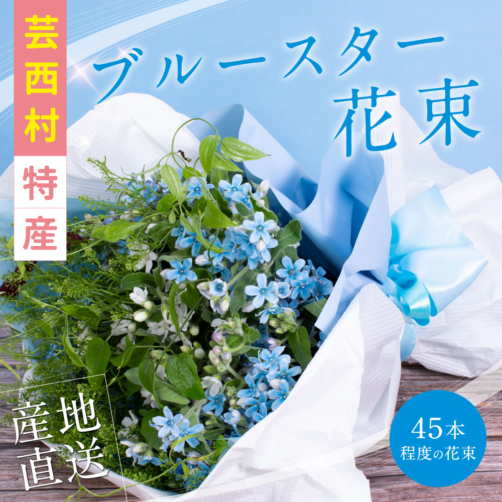 ふるさと納税 10月中旬より発送予定花 ガーデン Diy 10月中旬より発送予定 花束 切花 ふるさと納税 芸西村特産ブルースター花束 約45本程度の花束 故郷納税 高知県芸西村産で世界一にも輝いたブルースター ピュアブルー を生産地よりお届け 花言葉は 幸福な愛