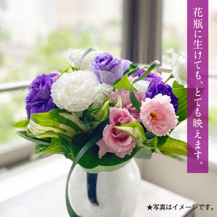 ふるさと納税 先行予約 芸西村特産 トルコギキョウ花束 約15本程度の花束 高知県芸西村産のトルコギキョウを生産地よりお届け 花言葉は 優雅 すがすがしい美しさ 希望 永遠の愛 大切な方への贈り物としても 10月中旬より発送 Timgroomarchitects Com