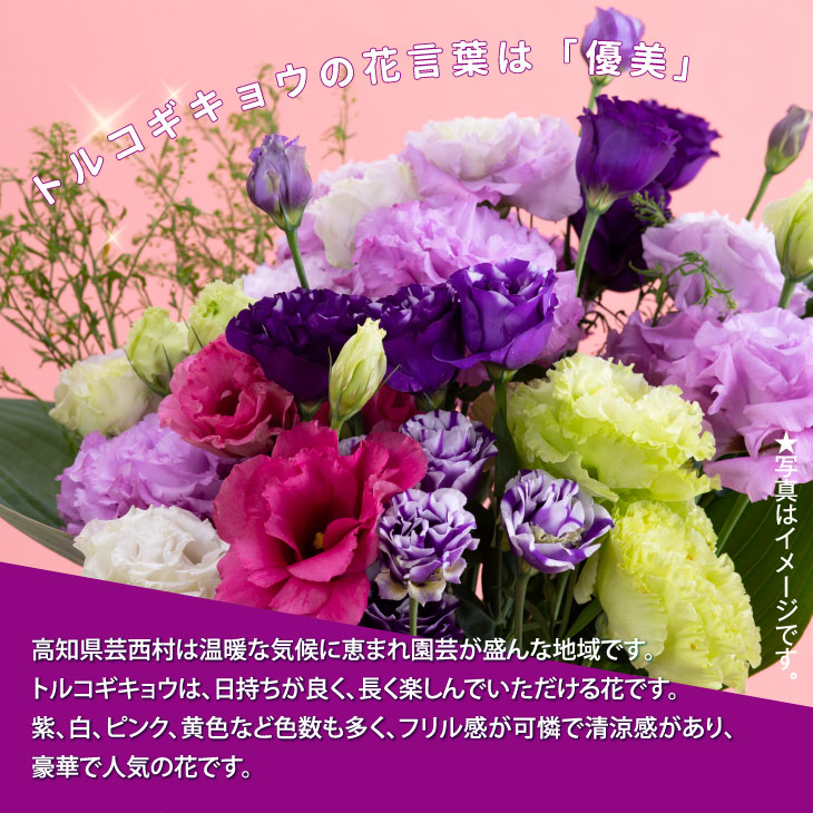 ご友人やご家族へのプレゼントはもちろんのこと ご自宅用にも暮らしのそばにお花を 花 観葉植物 ふるさと納税 花束 切花 先行予約 芸西村特産 トルコギキョウ花束 約本程度の花束 高知県芸西村産のトルコギキョウを生産地よりお届け 花言葉は 優雅