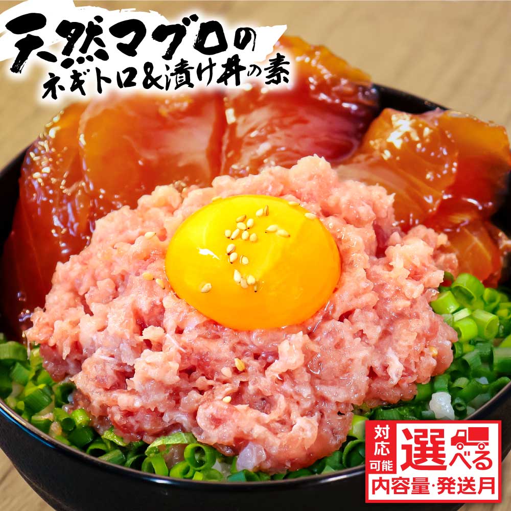 【ふるさと納税】 天然マグロのネギトロと漬け丼のセット 選べる内容量 海鮮 鮪 まぐろ ネギトロ丼 ねぎとろ まぐろたたき 海鮮丼 海鮮丼の具 漬け丼 冷凍配送 食品 訳アリ 人気 保存食 小分け 便利 お手軽 個食 一人暮らし 女性 男性 10000円～ 冷凍食品