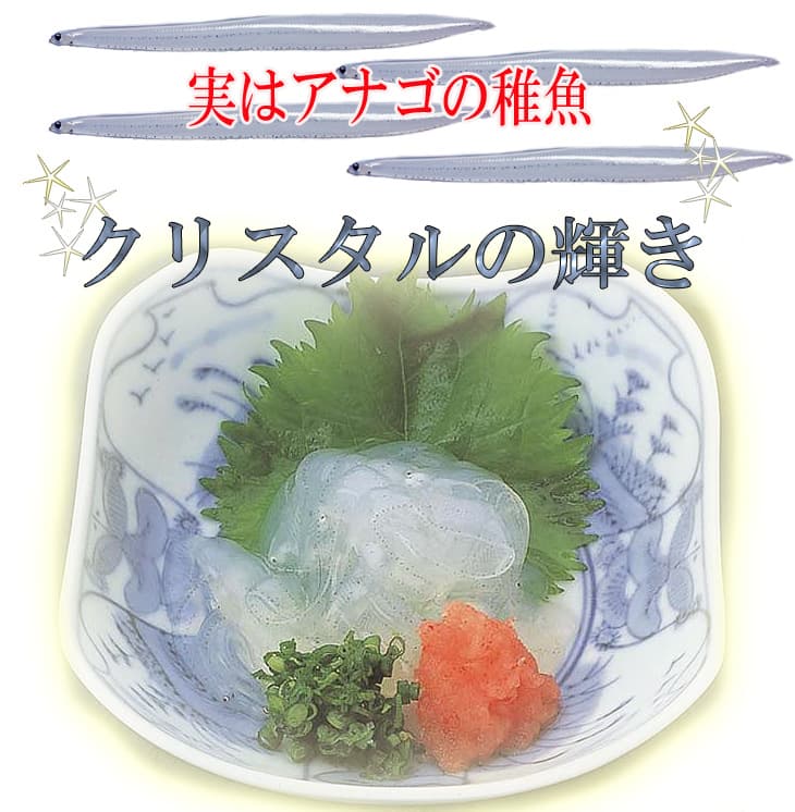 無料印刷可能アナゴ 稚魚 最高の花の画像 無料印刷可能アナゴ 稚魚 最高の花の画像