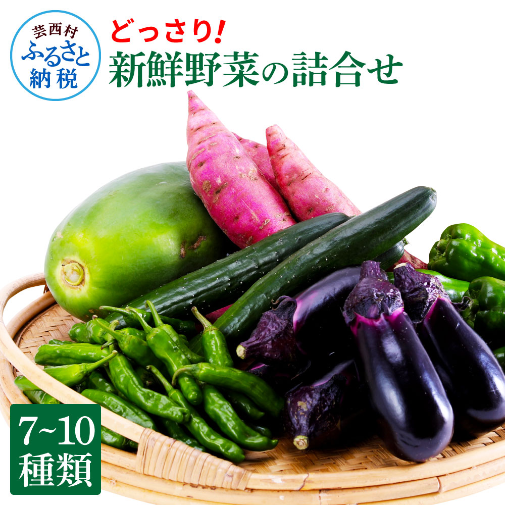 【ふるさと納税】新鮮野菜の詰合せ 7～10種類 ピーマン 茄子 なす ナス おまかせ 特産品 野菜 やさい 野菜セット おかず 健康 新鮮 詰め合わせ お楽しみ セット お取り寄せ 通販 冷蔵 配送 国産 食品 食材 ふるさとのうぜい 旬 故郷納税 高知県 返礼品 9000円