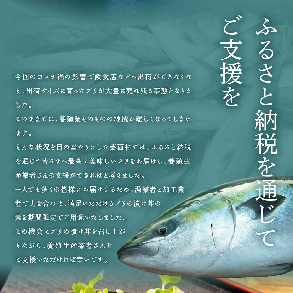 市場 ふるさと納税 養殖生産業者応援プロジェクト》 コロナ応援 海鮮 1食80g×5P《迷子のブリを食べて応援 コロナ 緊急支援 ブリの漬け丼の素