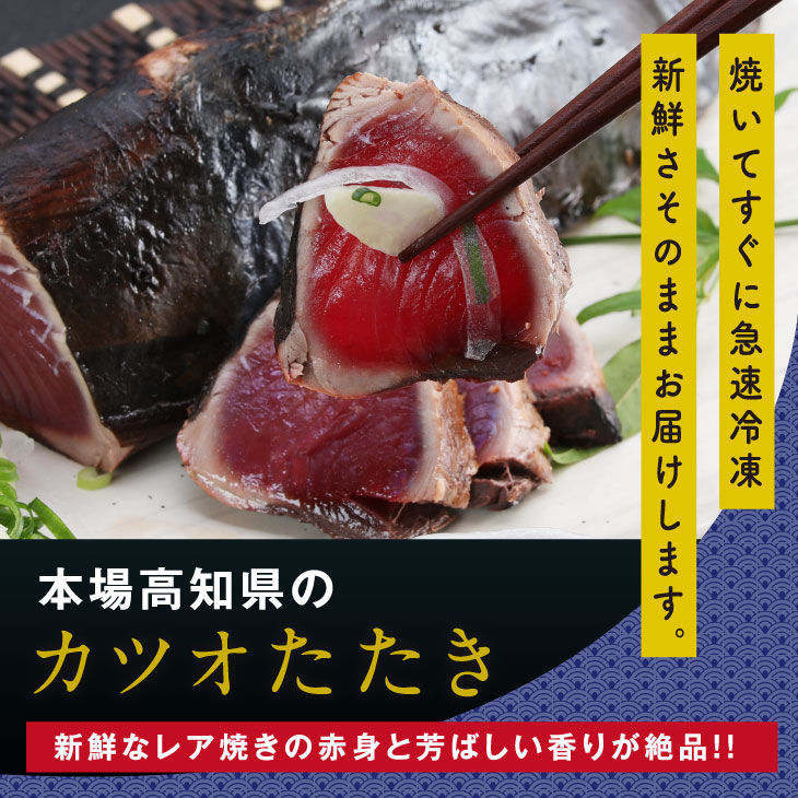 最大47%OFFクーポン 冷凍 保存食 小分け 惣菜 そうざい パック 漬け 本場 高知 海鮮丼 パパッと 簡単 一人暮らし 人気 5000円  高知市共通返礼品 qdtek.vn