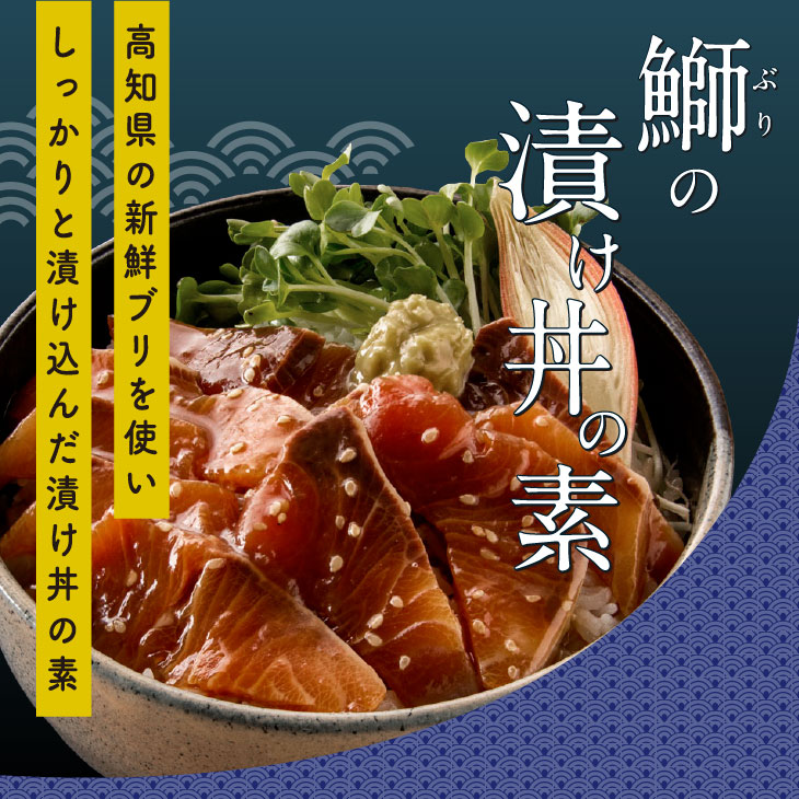 最大47%OFFクーポン 冷凍 保存食 小分け 惣菜 そうざい パック 漬け 本場 高知 海鮮丼 パパッと 簡単 一人暮らし 人気 5000円  高知市共通返礼品 qdtek.vn