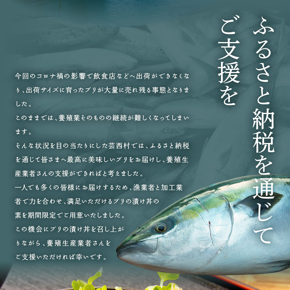 激安超安値 ふるさと納税 海鮮 ブリの漬け丼の素 1食80g 5p マグロの漬け丼の素 1食80g 5p 迷子のブリを食べて応援 養殖生産業者応援プロジェクト 故郷納税 コロナ応援 順次出荷中 Koyofr 惣菜 冷凍 保存食 小分け 高知 海鮮丼 一人暮らし 高知市共通返礼品