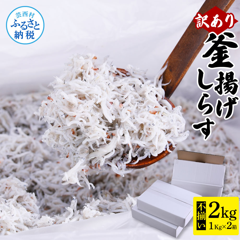 【ふるさと納税】しらす 訳あり釜揚げしらす 1kg×2個 合計2kg 高知県産 ご飯のお供 ごはんのお供 訳アリ しらす干し 釜揚げシラス 大容量 わけあり 不揃い シラス  国産 釜揚げ 新鮮 しらす丼 冷凍配送 おにぎり 減塩 塩分控えめ 離乳食 返礼品 12000円代 じゃこ 食品