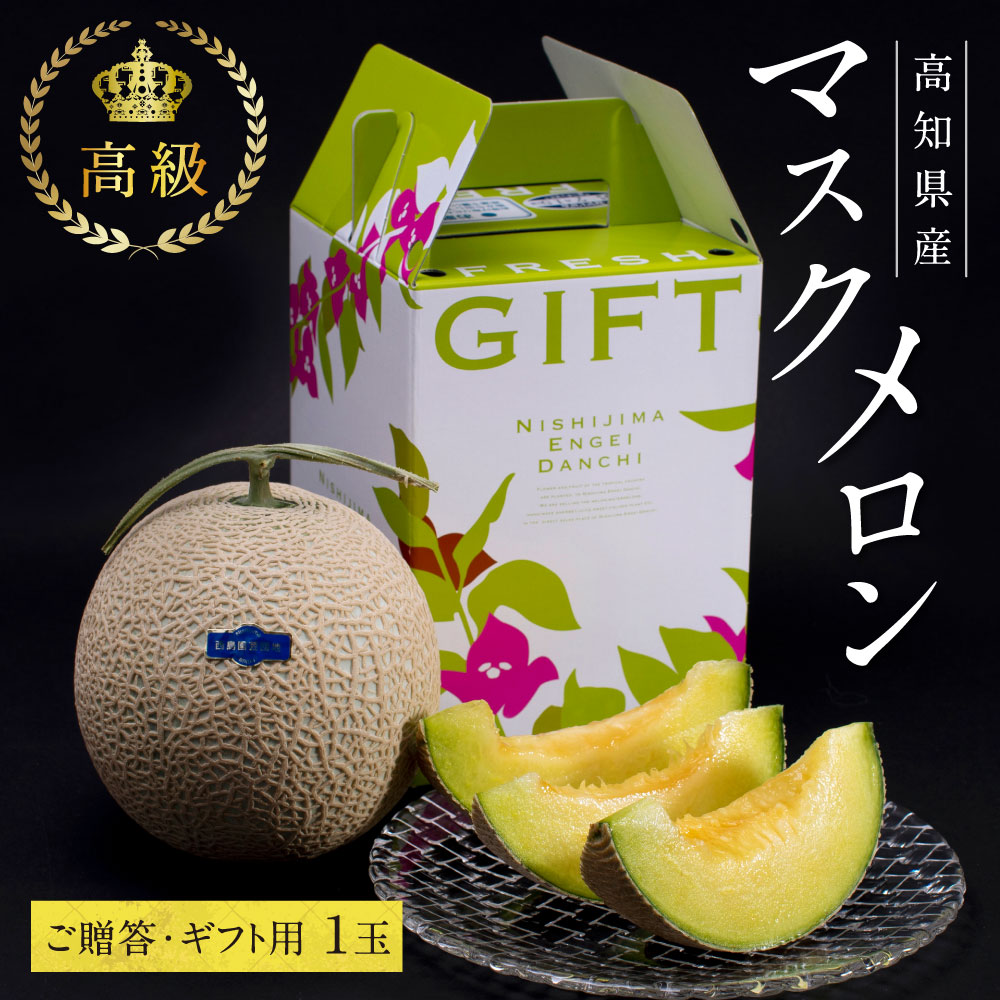 【ふるさと納税】 コロナ 緊急支援 高知県産 高級マスクメロン(ご贈答・ギフト用)1玉入 故郷納税【発送期間：4月～12月(9カ月)】【1月～3月は気候温度不安定の為出荷不可となります】〈南国市共通返礼品〉食べ物 プレゼント 果物 お中元 御中元 のし 熨斗