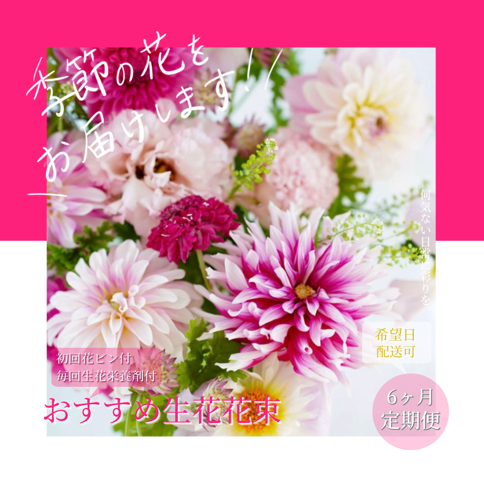 【ふるさと納税】出どころ納税《6ヵ月定期便 》芸西村産時期の胸花 御花申し合わせ 時期のおすすめ 青碧はやりっ児 トルコキキョウ ダリヤ お花 今めかしい 差し上げ物 差し上げ物 祝賀会 供花 お供え ふるさとのうぜい 出どころ納税 しっぺい返し品【生み出すこと者直送】 亭主もち 差し上げ物