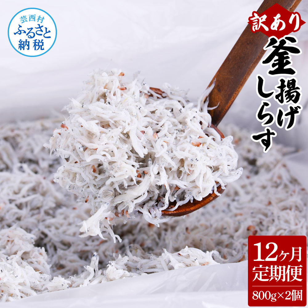 【ふるさと納税】＜12ヶ月定期便＞訳あり釜揚げしらす 800g&times;2個 1.6kg ふるさと納税 定期便 12回 釜揚げシラス ご飯のお供 ごはんのお供 訳アリ わけあり 不揃い しらす しらす干し シラス 国産 新鮮 しらす丼 冷凍配送 減塩 塩分控えめ 離乳食 返礼品 じゃこ 食品｜高知県芸西村 92,400円