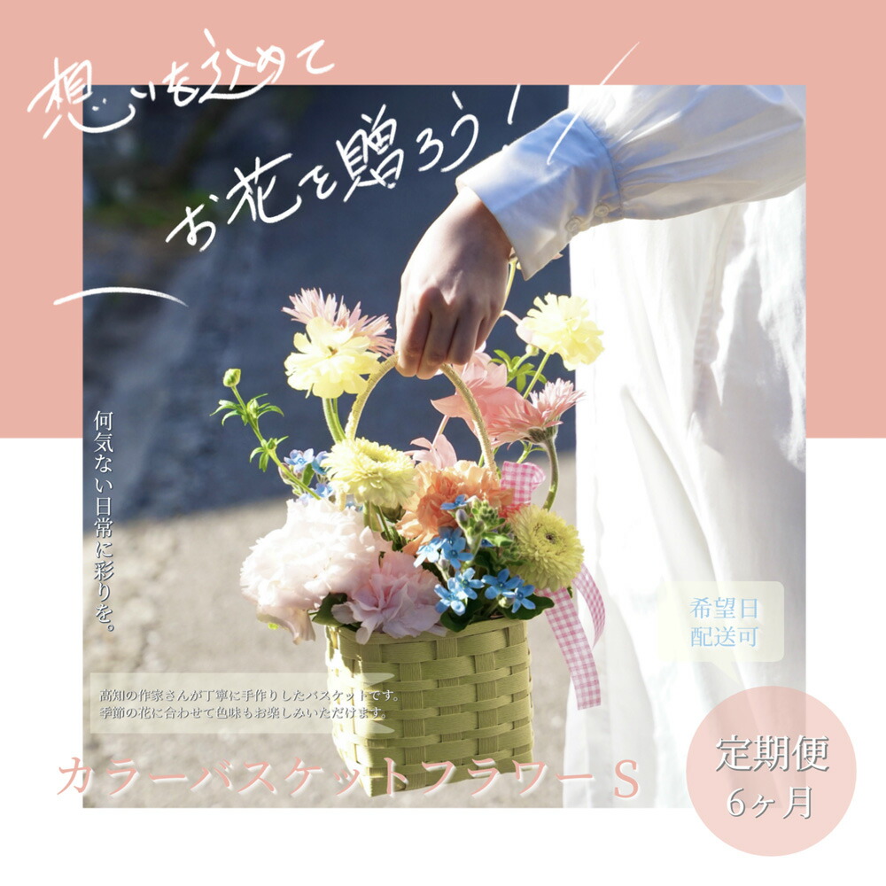 【ふるさと納税】《6ヵ月定期便》季節の生花カラーバスケットフラワーS カラーバスケット 紙バンドバスケット フラワーバスケット 季節 手作り ブルースター トルコギキョウ お取り寄せ 生花 プレゼント 贈り物 冷蔵 配送 芸西村 高知県 女性 プレゼント 故郷納税 返礼品｜高知県芸西村