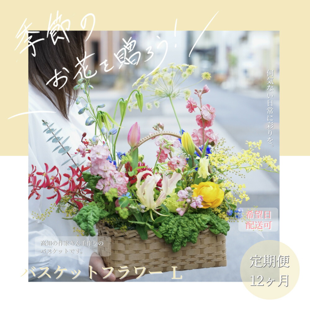 【ふるさと納税】《12ヵ月定期便》季節の生花バスケットフラワーL バスケット 紙バンドバスケット フラワーバスケット 季節 手作り ハンドメイド ブルースター トルコギキョウ お取り寄せ 生花 プレゼント 贈り物 冷蔵 配送 芸西村 高知県 女性 プレゼント 故郷納税 返礼品|高知県芸西村