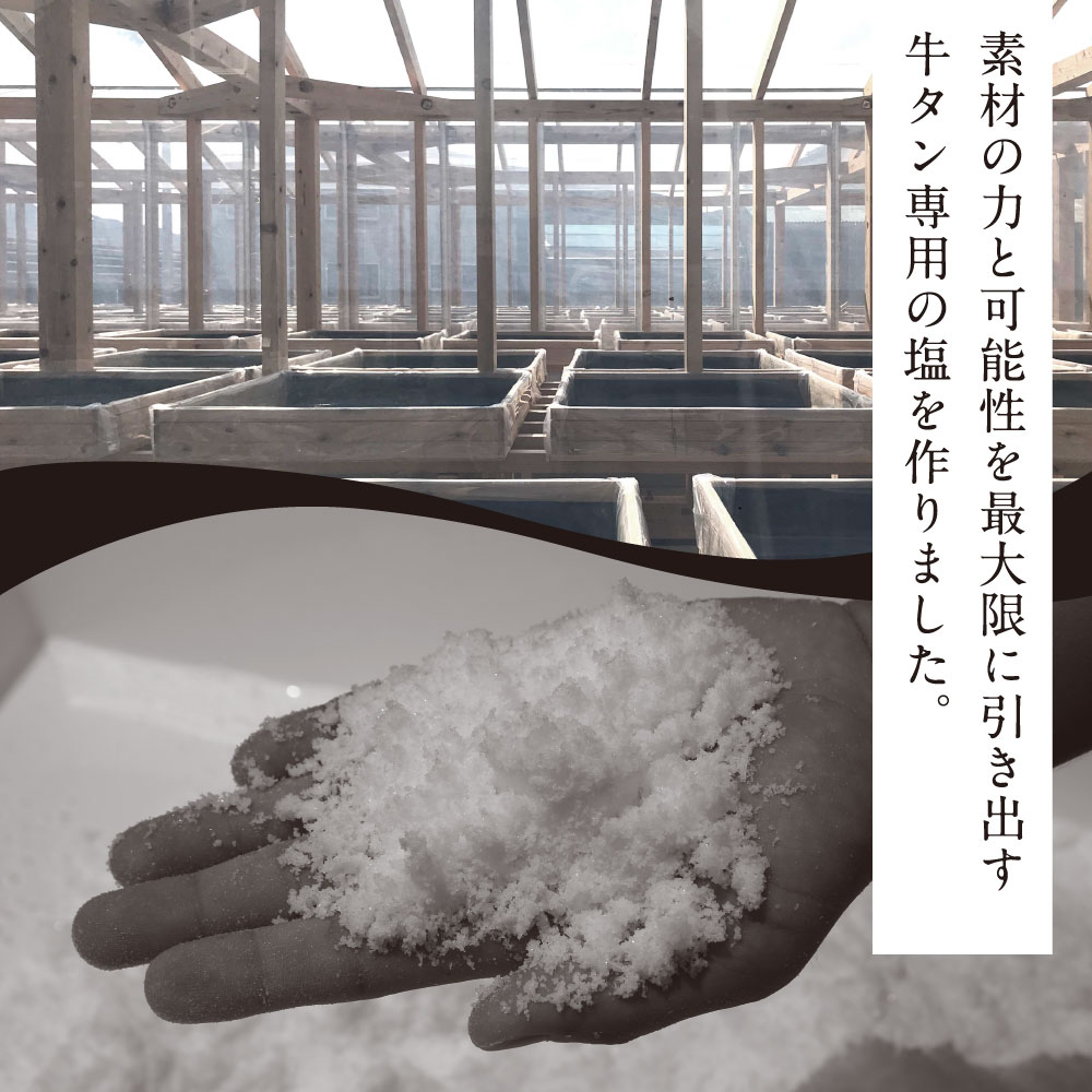 “芸西村本気シリーズ”ダブルエイジング〈ドライエイジング+塩熟成〉超高級和牛牛タン(タン元・タン中・タン先1本分)