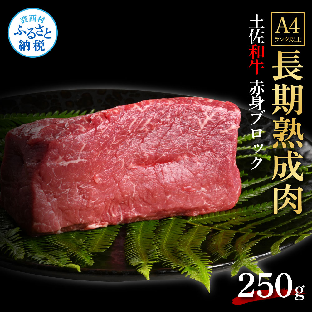【ふるさと納税】天下味 エイジング工法 熟成肉 土佐和牛 特選 赤身ブロック 250g エイジングビーフ 国産 肉 牛肉 和牛 人気老舗焼肉店 冷凍 新鮮 真空パック 高級 高知 高知県 芸西村 故郷納税 13000円 返礼品 贈り物 贈答 還暦祝い 男性 定年 退職 ギフト|高知県芸西村