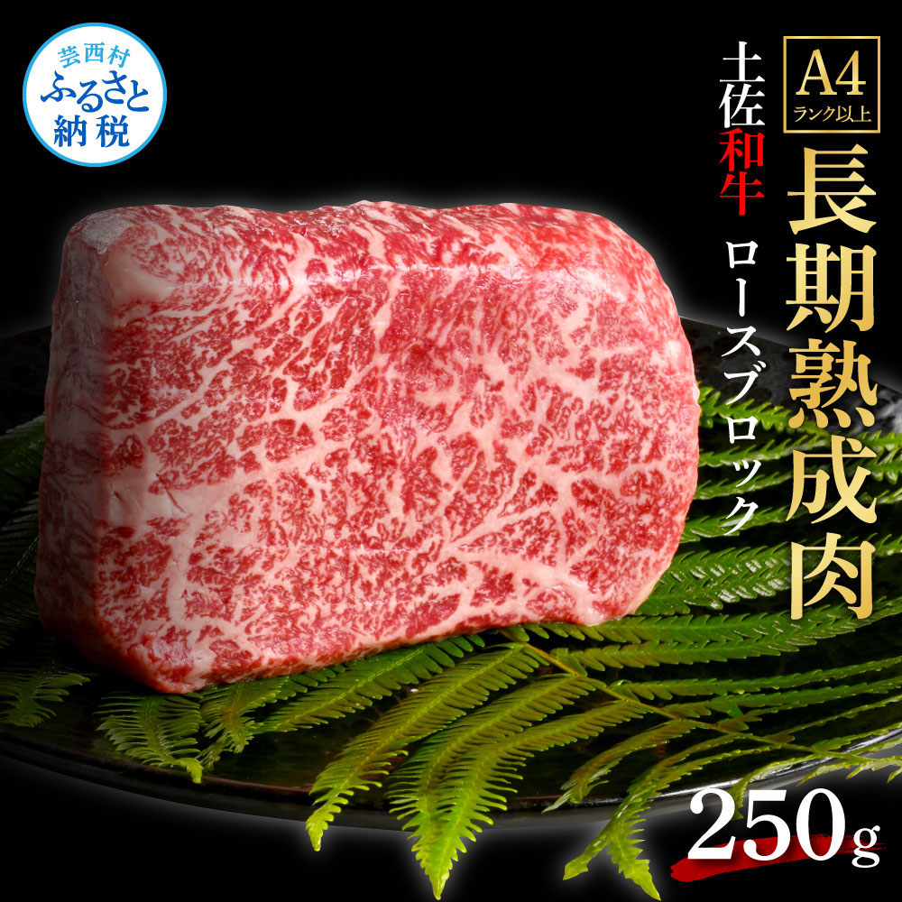 【ふるさと納税】天下味 エイジング工法 熟成肉 土佐和牛 特選 ロースブロック 250g エイジングビーフ 国産 肉 牛肉 和牛 人気老舗焼肉店 焼肉 冷凍 新鮮 真空パック 高級 高知 高知県 芸西村 故郷納税 16000円 返礼品 贈り物 贈答 ギフト