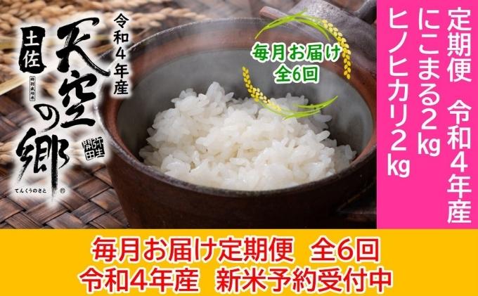 ふるさと納税 沙汰合流3年度 新入り留保 棚田稲孫 土佐空の郷 2kg食べくらべ背景 定期雁の使い 毎月明りお届け 全6時 定期便 お米 ヒノヒカリ 米 にこまる お届け 21年10月15期日 Expomujerescolombia Com Co