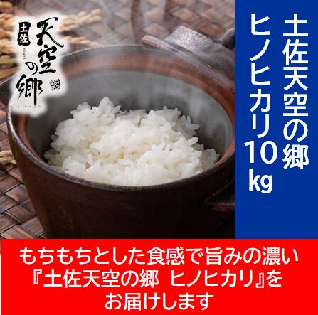 【ふるさと納税】農林水産省の「つなぐ棚田遺産」に選ばれた棚田で育てられた棚田米　土佐天空の郷　ヒノヒカリ　10kg　お米・ヒノヒカリ｜高知県本山町