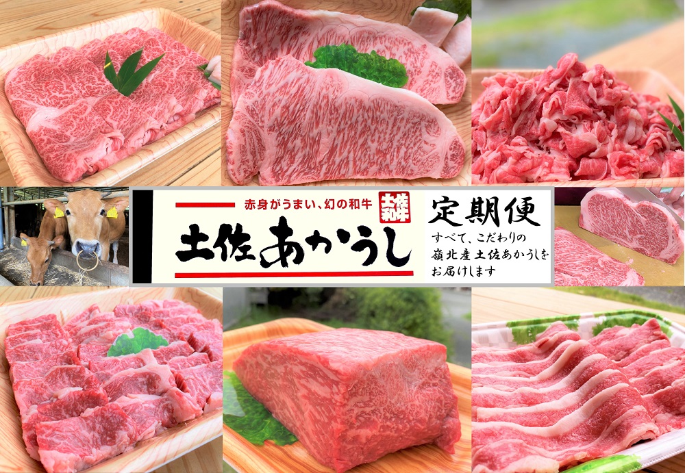 【ふるさと納税】幻の和牛！土佐あかうし堪能定期便(6カ月コース)