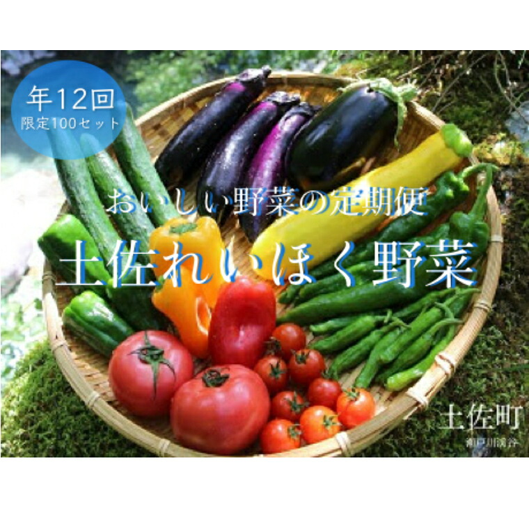 【ふるさと納税】土佐れいほく野菜(年12回)