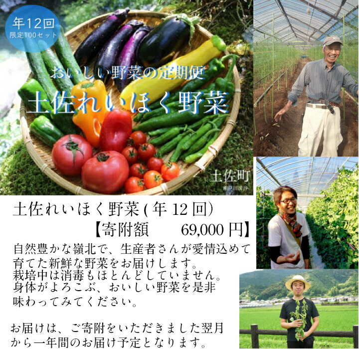 【ふるさと納税】土佐れいほく野菜（年１２回）