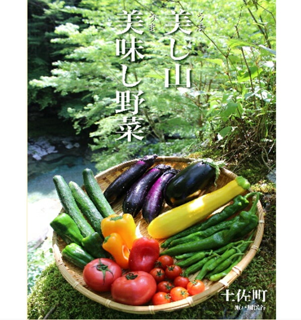 【ふるさと納税】土佐れいほく野菜（１回のお届け）