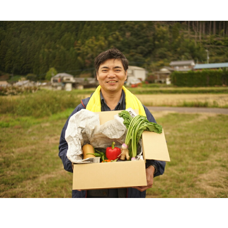 【ふるさと納税】土佐れいほく野菜（３回お届け）