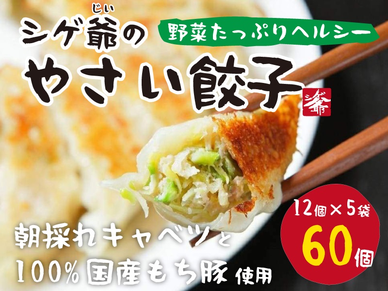 【ふるさと納税】国産素材にこだわったシゲ爺のやさいぎょうざ