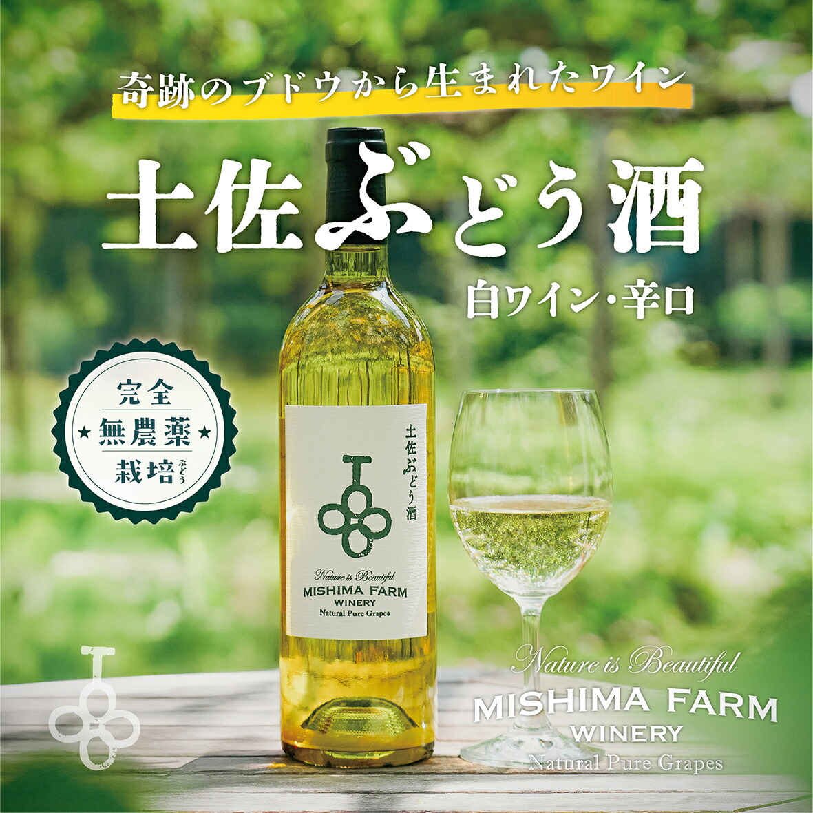 【ふるさと納税】土佐ぶどう酒　白