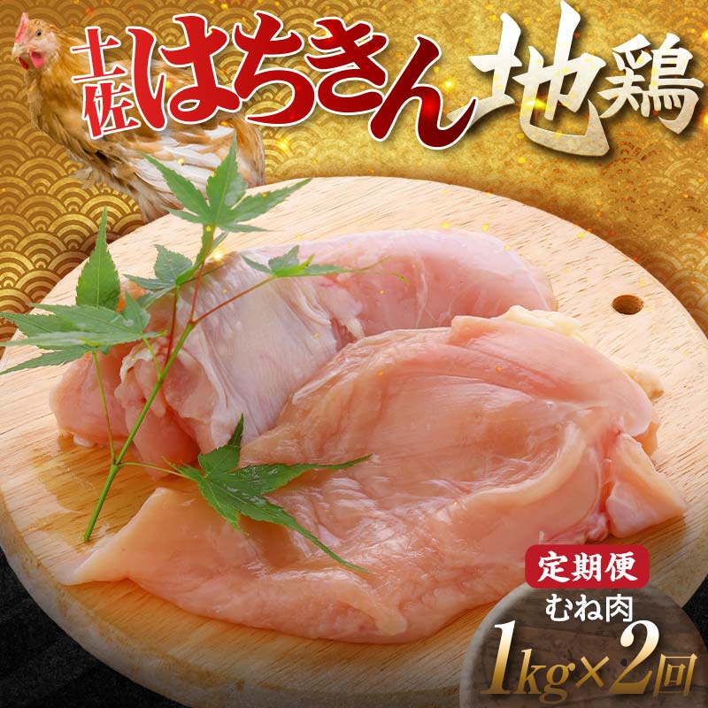 【ふるさと納税】【定期便】土佐はちきん地鶏むね肉 1kg×2ヵ月連続 地鶏 ムネ肉 胸肉 鶏肉 とり肉 とりにく 肉 定期 高知県 大川村 F6R-005