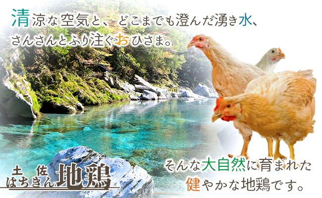 返礼品画像