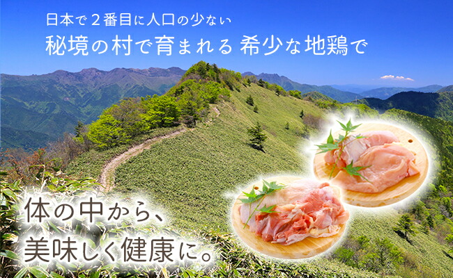 【ふるさと納税】臭みも少なくやわらかな土佐はちきん地鶏モモ肉1kg+むね肉1kgセット【送料無料】