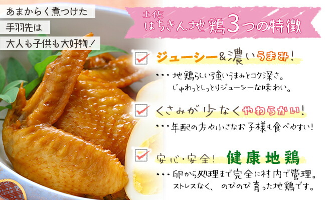 ふるさと納税 地鶏 土佐はちきん地鶏手羽先 500g 2パック 計1kg Salon Raquet De